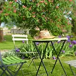 Bed & Breakfast D'hotes Le Cartounier 3*