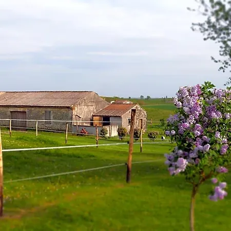 Bed and breakfast D'hotes Le Cartounier 3*