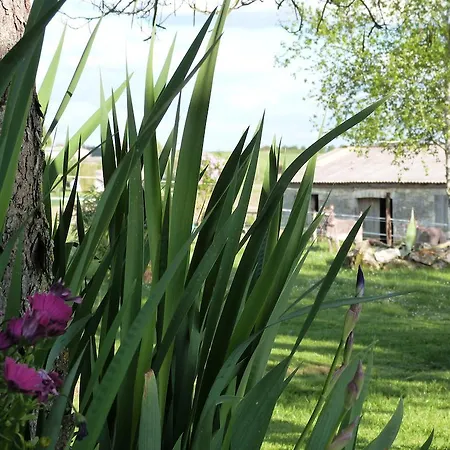 Bed & Breakfast D'hotes Le Cartounier