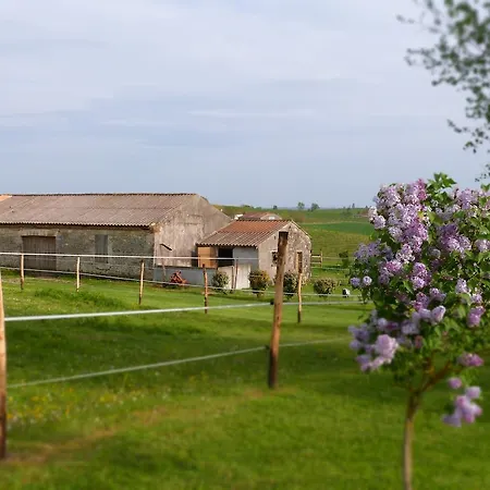 D'hotes Le Cartounier Pinel-Hauterive