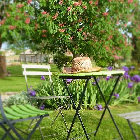 Bed and breakfast D'hotes Le Cartounier 3*